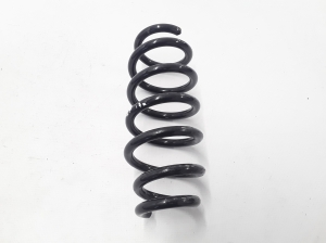  Front spring 