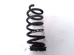  Rear spring 