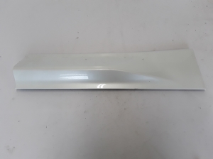  Rear side door strip 