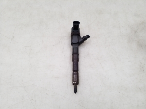   Fuel injector 