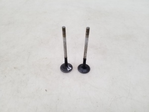  Exhaust valve 