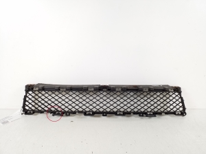  Front bumper lower grille 