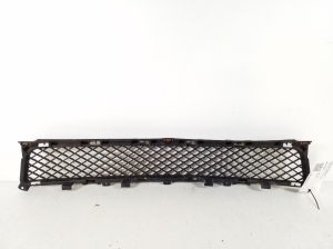  Front bumper lower grille 