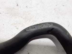  Cooling radiator hose 