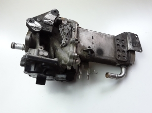  EGR valve and its parts 