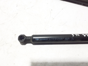  Trunk lid shock absorber 