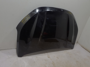  Motorhaube 