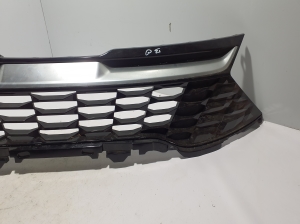  Kühlergrill 