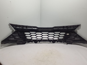  Kühlergrill 