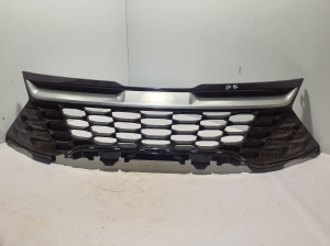  Kühlergrill 
