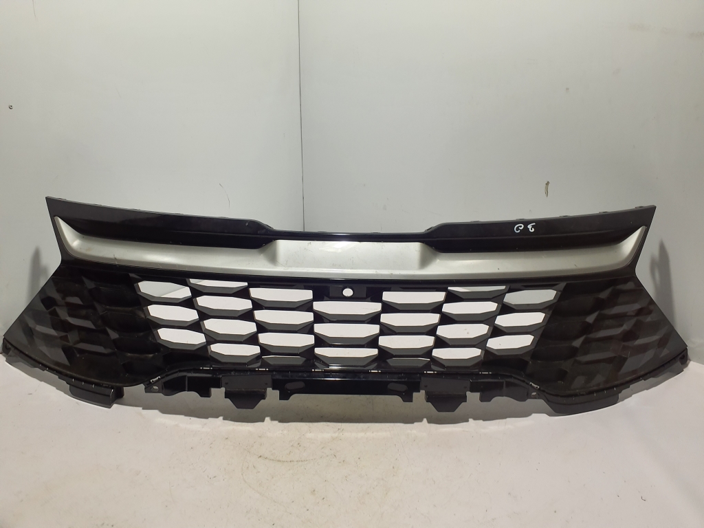  Kühlergrill 