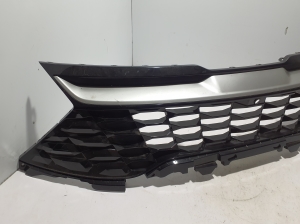  Kühlergrill 