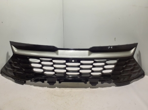  Kühlergrill 