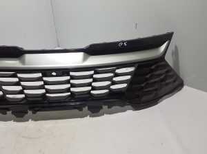  Kühlergrill 