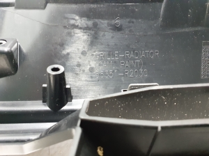  Kühlergrill 