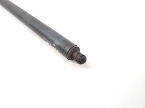  Kofferraumdeckel Stoßdämpfer 